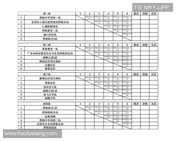 南京羽毛球队个人能力排行榜第六名展现实力与潜力的完美结合 南京羽毛球队个人能力排行榜第六名展现实力与潜力的完美结合