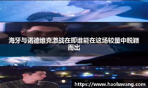 金年会