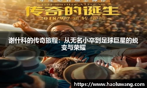 金年会官网