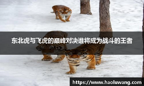 金年会