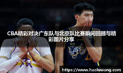 金年会jinnianhui